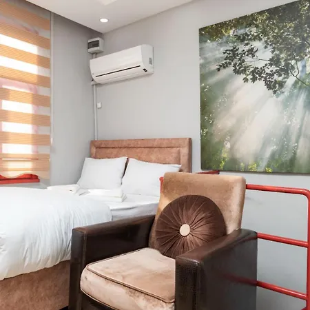 Lägenhetshotell Ayasofya 3*
